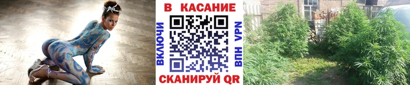 Купить наркотик аптеки Воронеж ГАШ Кокаин мега ТОР A-PVP Конопля ГЕРОИН Меф мяу мяу АМФЕТАМИН