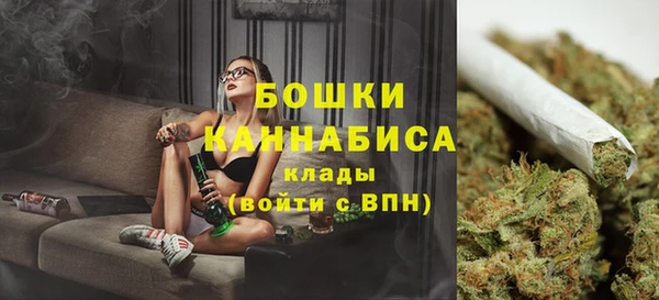 кокс Ессентукская