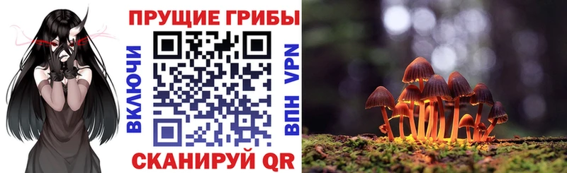 Псилоцибиновые грибы мухоморы  Воронеж 